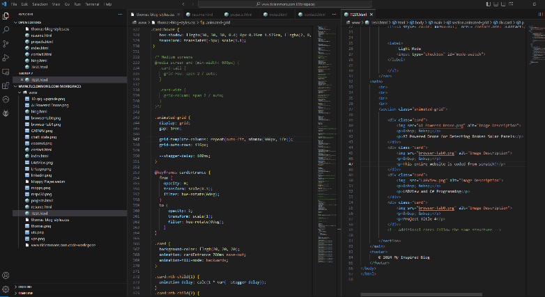 VS Code IDE